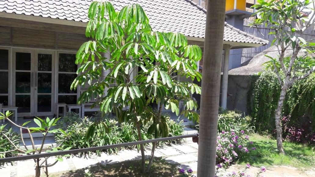 Vista Huts Lembongan Hotel Bagian luar foto